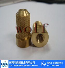 西藏注塑磁銅套 安派五金優(yōu)質(zhì)廠家 注塑磁銅套加工廠